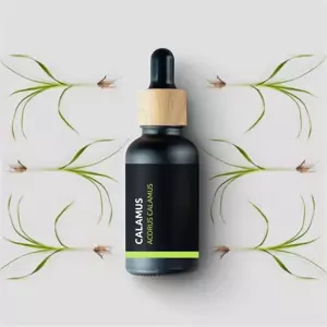 Calamus - 100% přírodní esenciální olej 10 ml