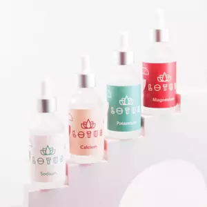 Lotus Water Kit