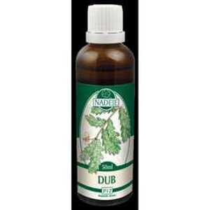 Naděje Tinktura z pupenů Dub letní 50ml