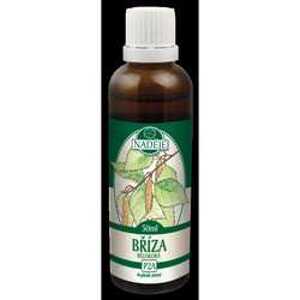 Naděje Tinktura z pupenů Bříza bělokorá 50ml