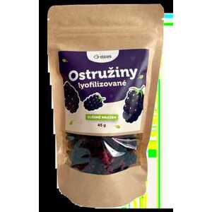 Ošatka Lyofilizované ostružiny 45 g