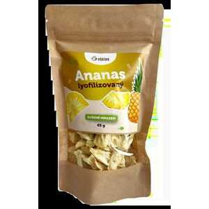Ošatka Lyofilizovaný ananas 45 g