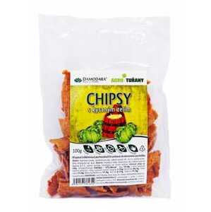 Damodara Chipsy s kysaným zelím 100 g