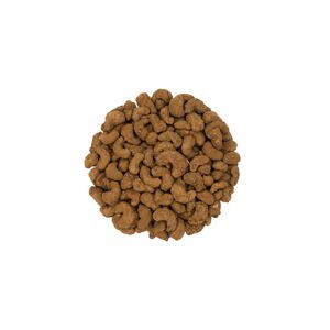 Kešu v karamelu s kakaem  váha 200g